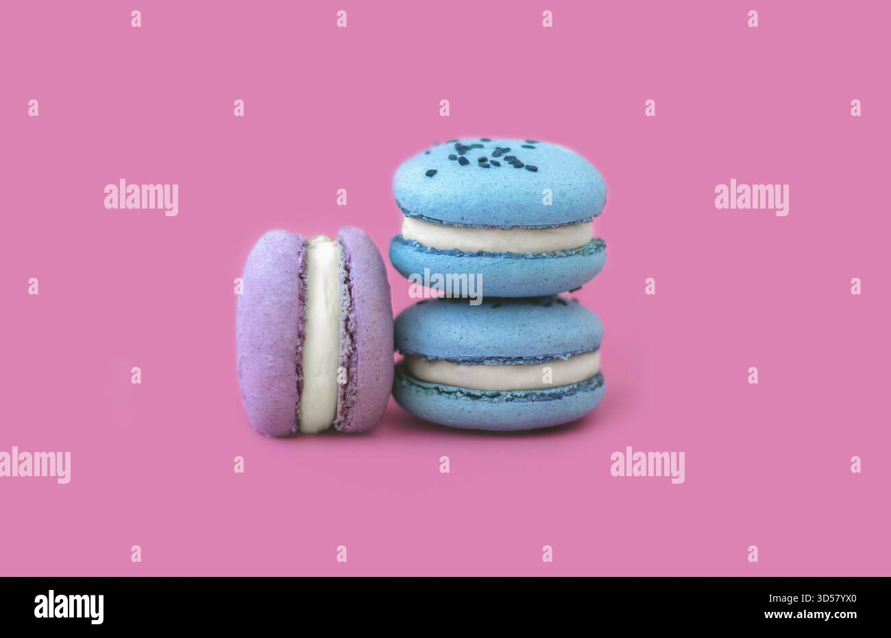 Blue and purple macaroons on a bright pink background. A French dessert. Multicolored macaroons multicolored macarons on a pink background Stock Photo