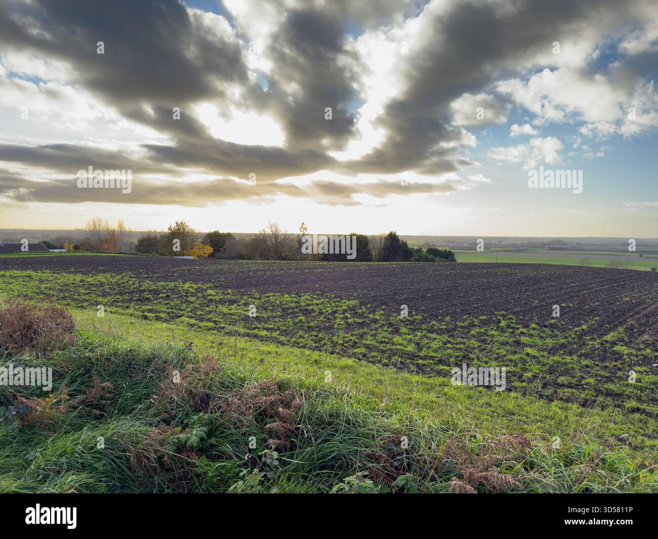 Autumn scene in Ormskirk West Lancashire UK - Smartphone Captured Stock Image