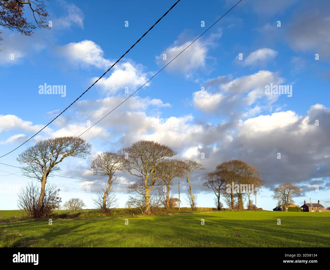 Autumn scene in Ormskirk West Lancashire UK - Smartphone Captured Stock Image