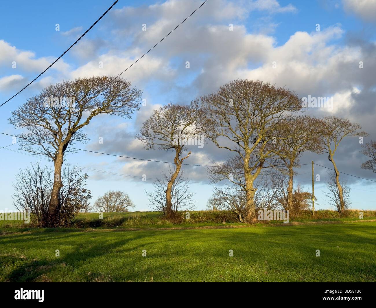 Autumn scene in Ormskirk West Lancashire UK - Smartphone Captured Stock Image