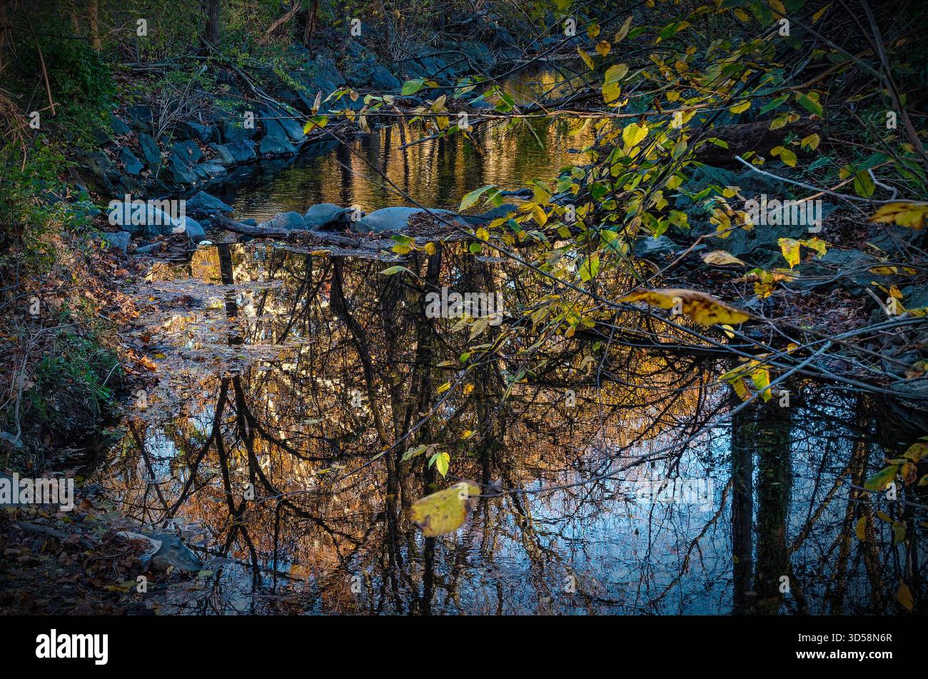 Autumn scenes in a rural park Stock Photo