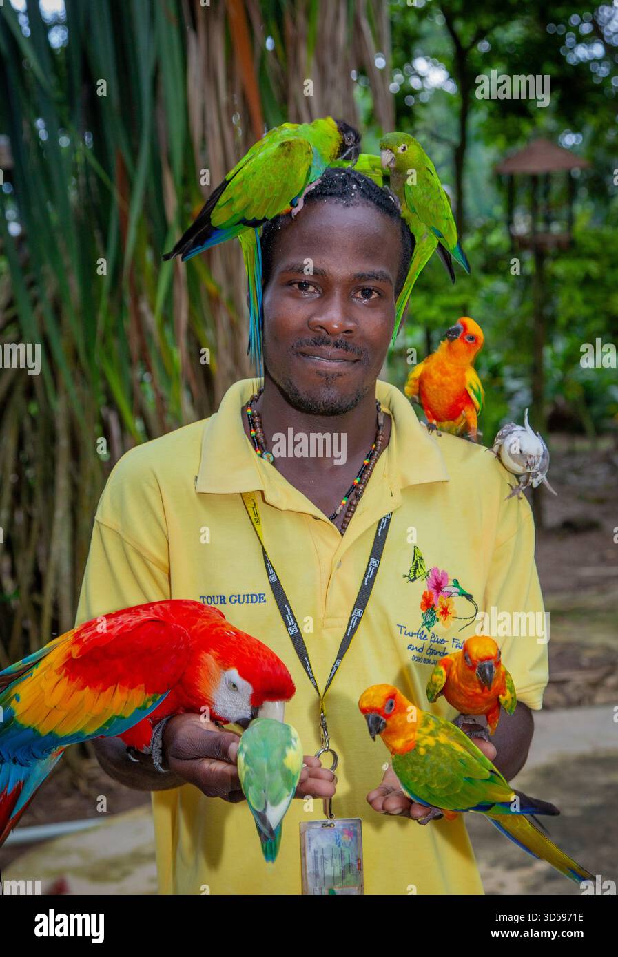 Ocho rios the turtle river gardens hi-res stock photography and images ...