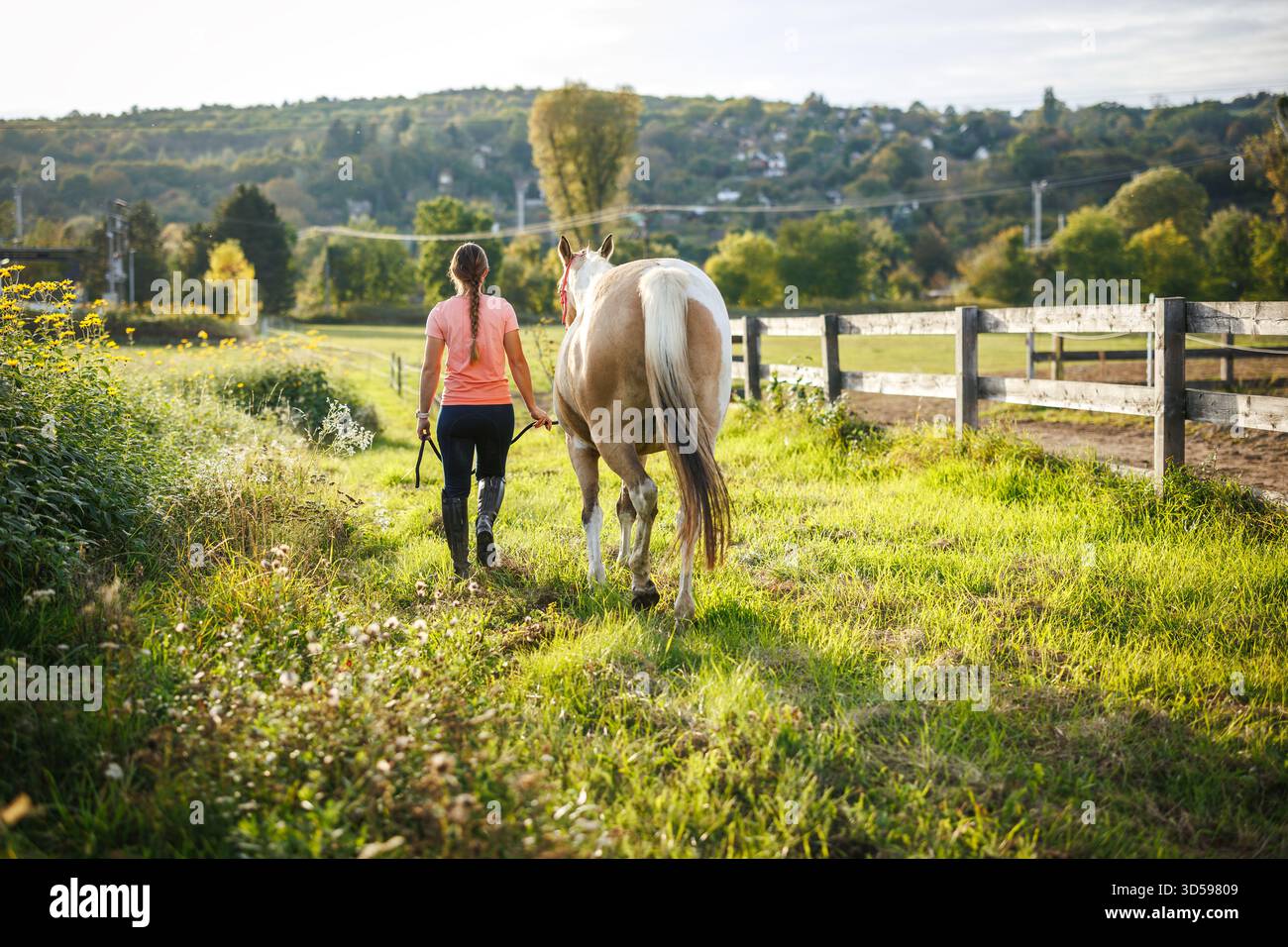 Woman rider leading her horse on pasture after equestrian training. Animal farm at countryside Stock Photo
