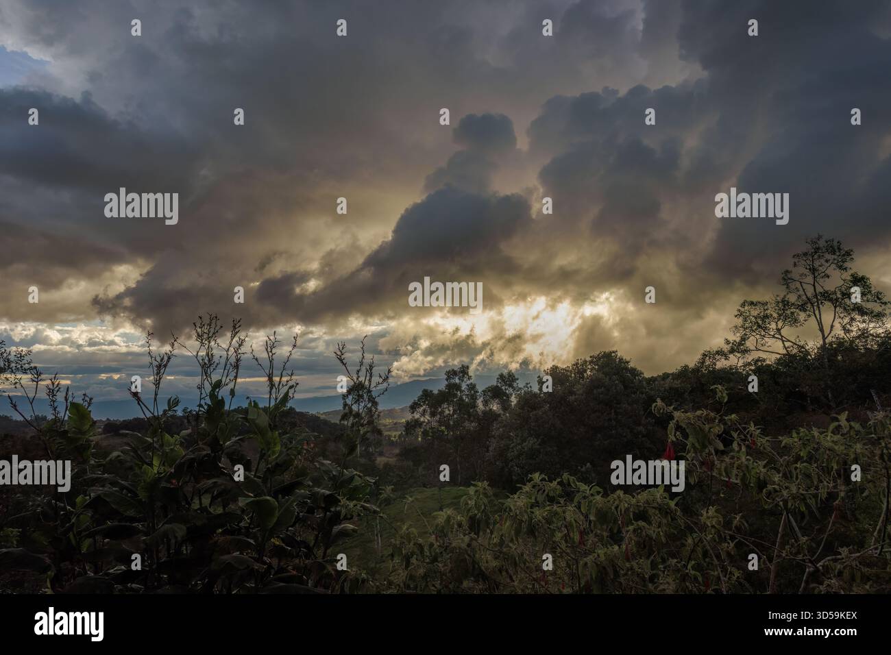 Dense thunderstorm clouds forming in the horizon at sunset over the forest, in the eastern Andean mountains of central Colombia Stock Photo