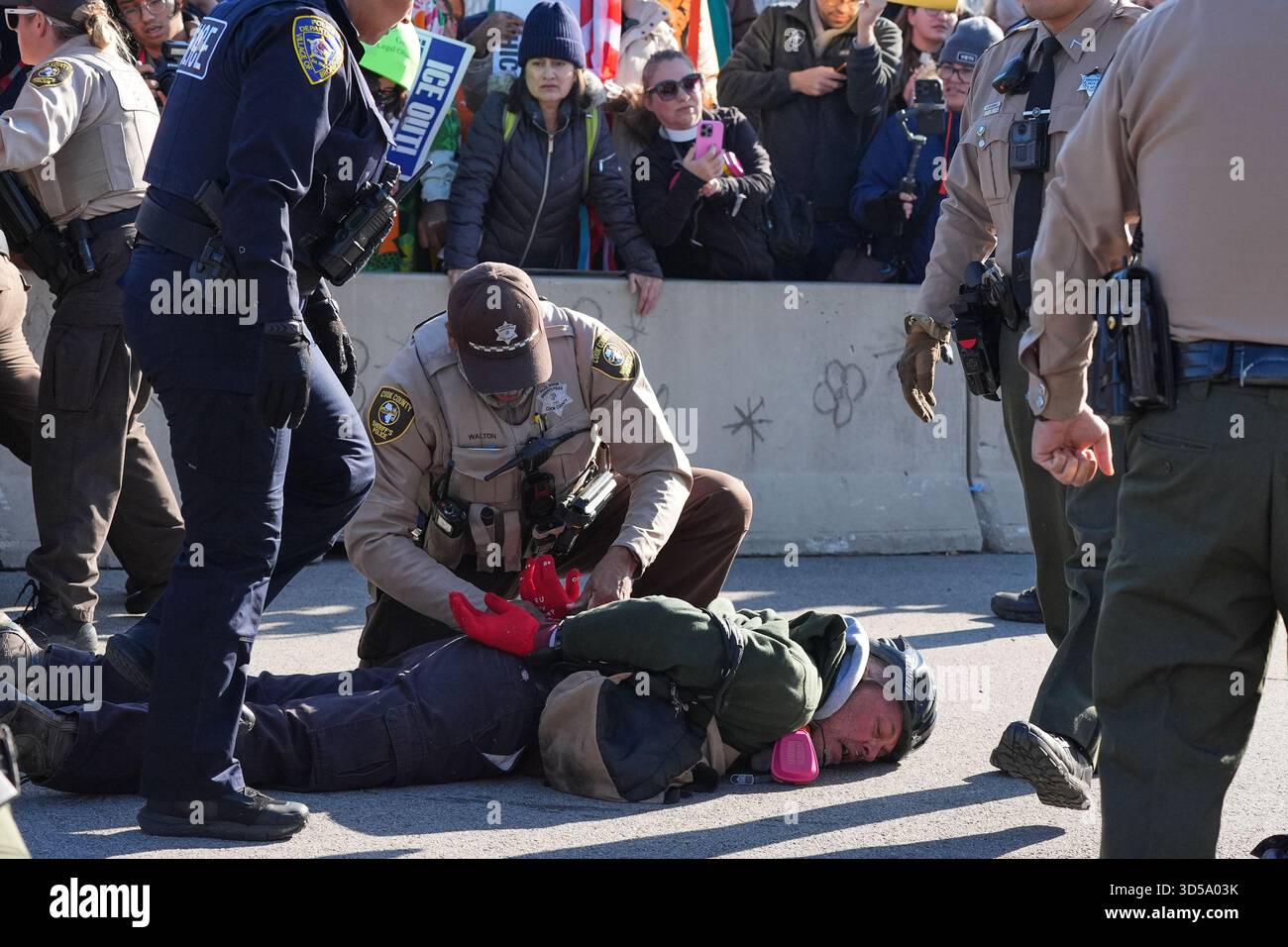 Broadview Police and Cook County Sheriff Police detain a protester ...