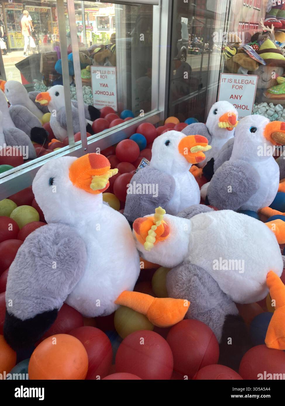 Stuffed seagull cuddly toys in a claw crane grabber game machine at an arcade Hemsby near Great Yarmouth in Norfolk - Smartphone Captured Stock Image