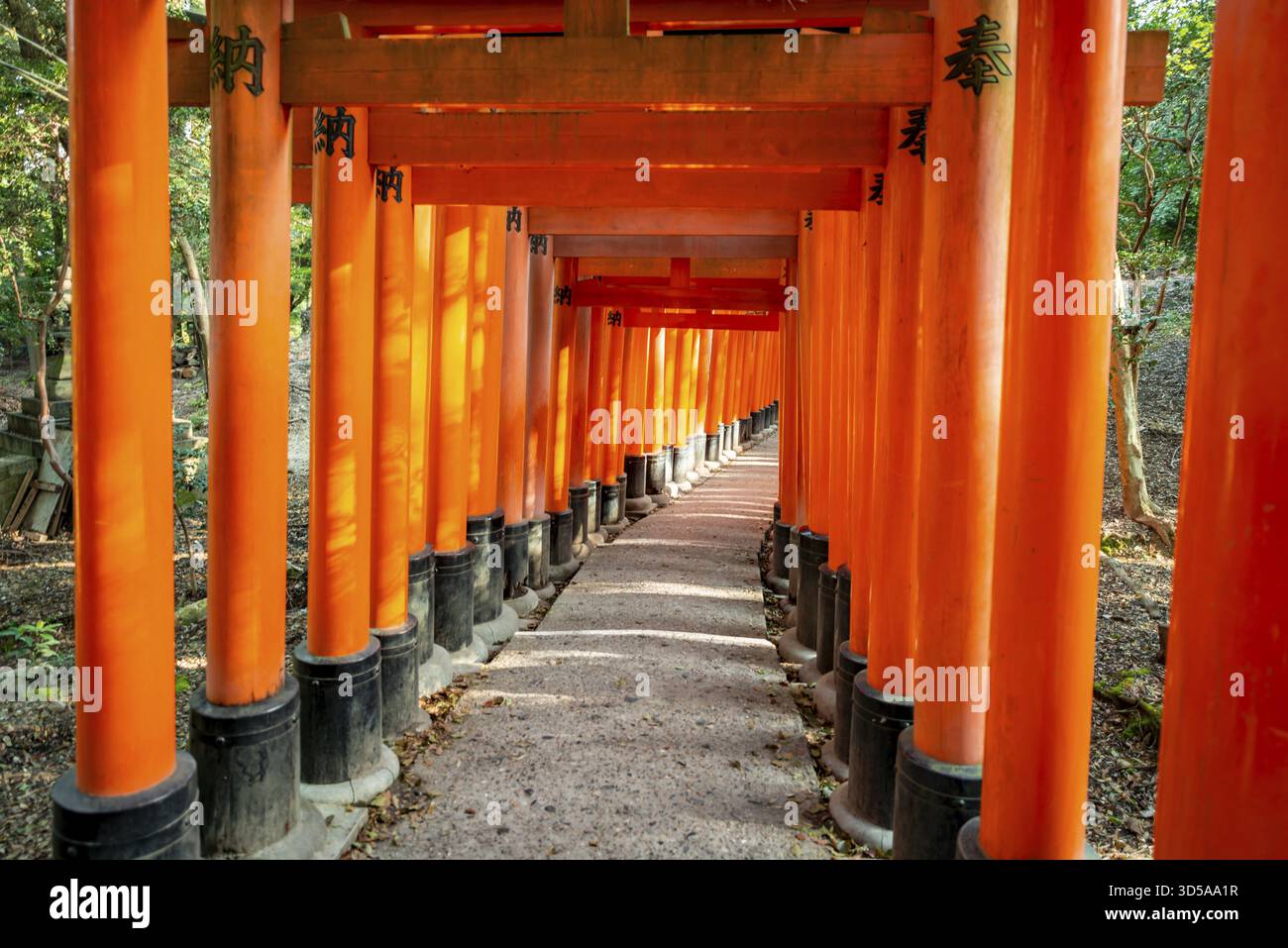 Okusha Walk through hundreds of red traditional torii gates, Fushimi Inari ...