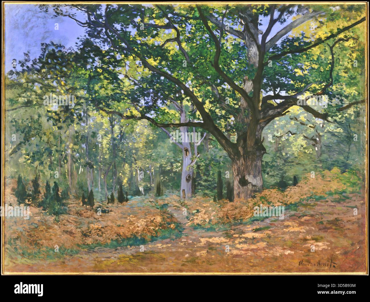 forest of fontainebleau'; monet hi-res stock photography and