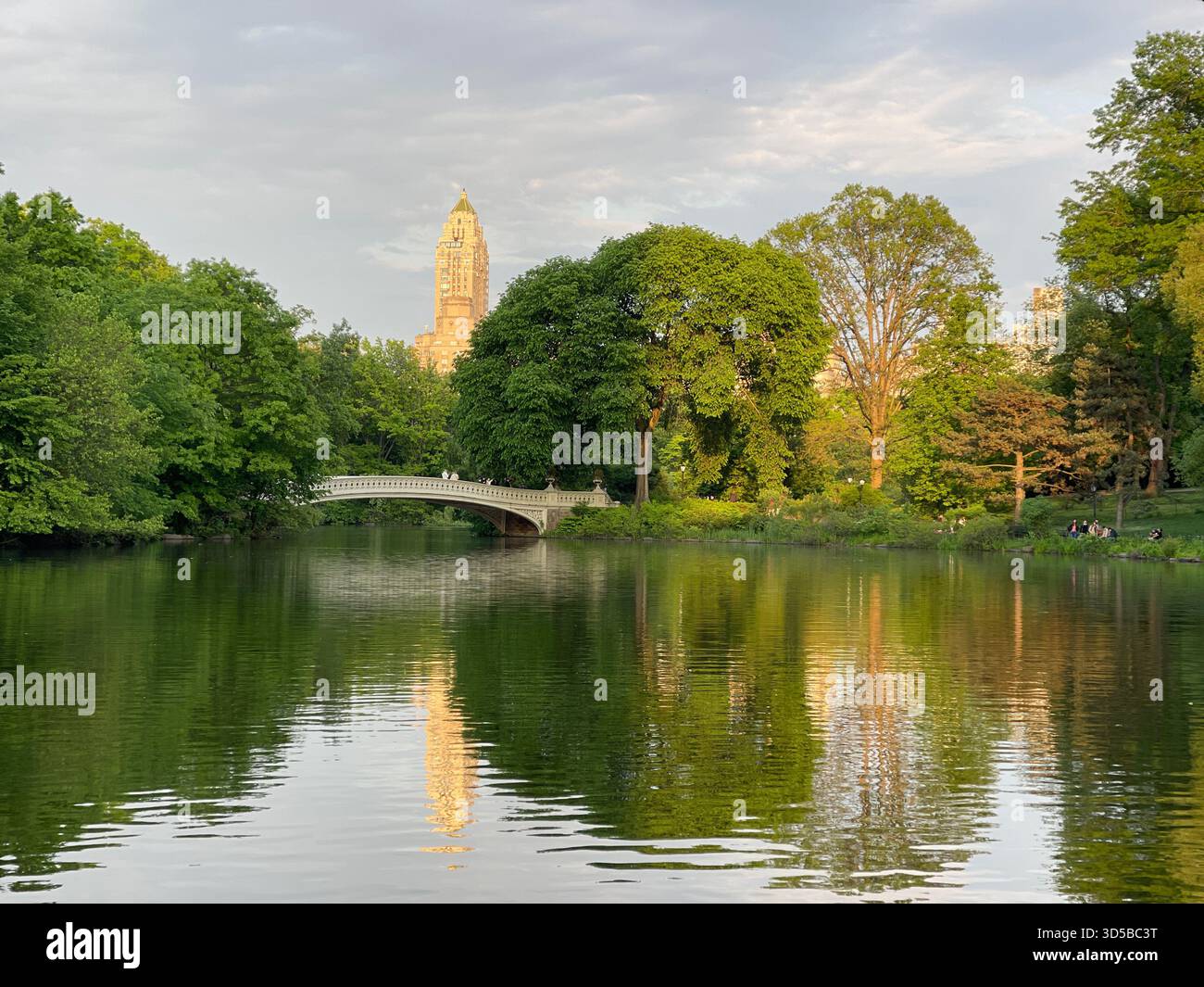 Bow Bridge embracing the gentle greens of spring—Central Park’s timeless charm in New York. - Smartphone Captured Stock Image
