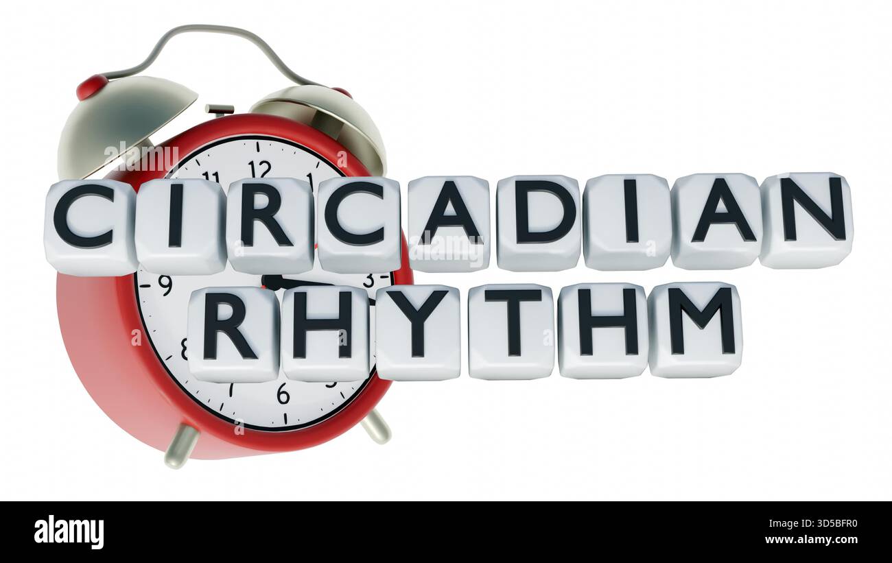 Circadian rhythm clock hi-res stock photography and images - Alamy