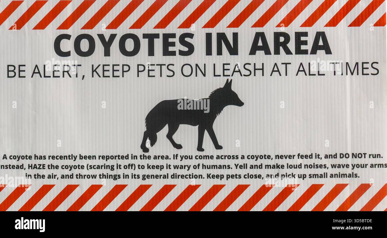 Coyotes In Area Sign posted in a city park in San Francisco Bay Area ...
