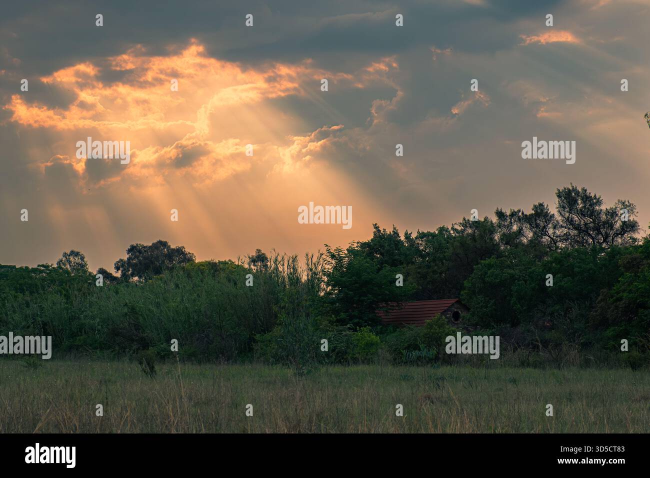 Dramatic Sunset Rays Breaking Through Clouds Over Forest Landscape Stock Photo