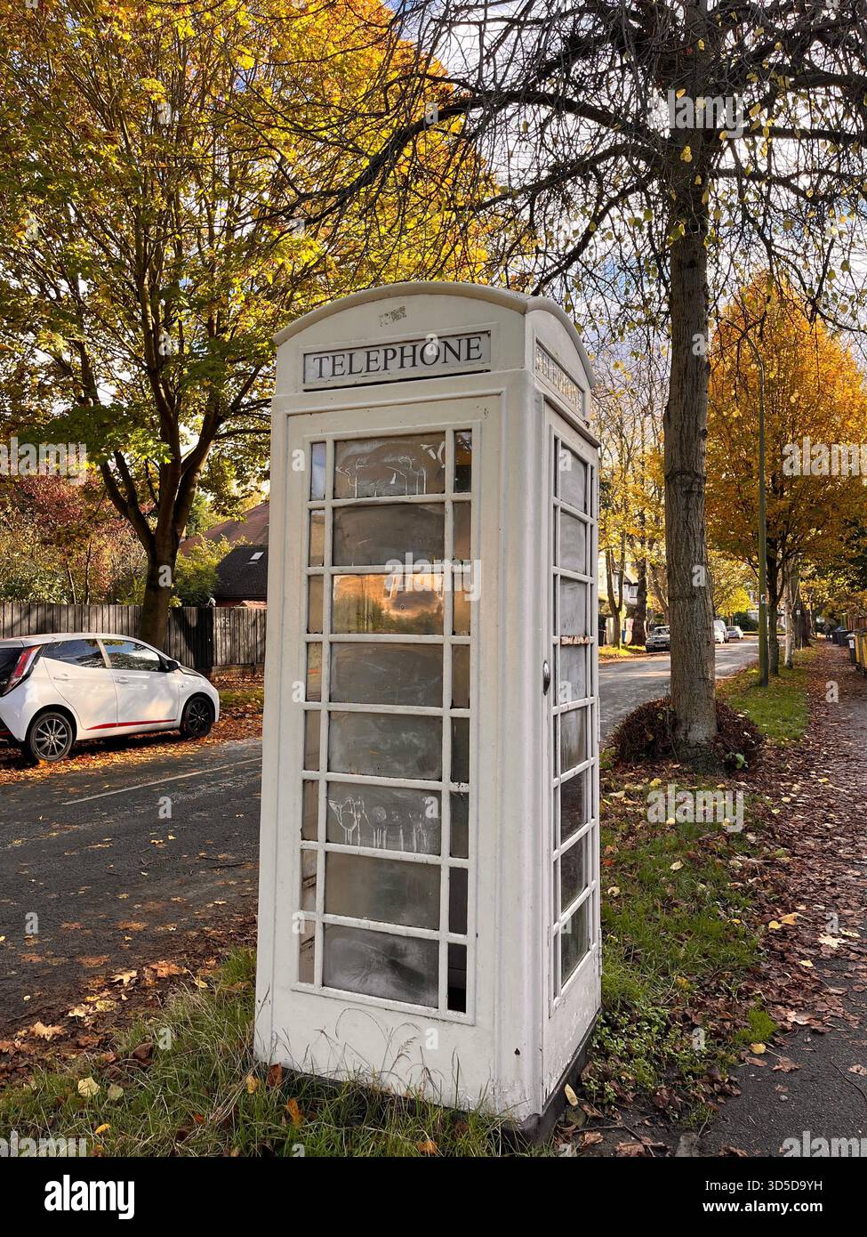 Traditional British white telephone box standing among trees and fallen leaves in Hull, England, showcasing iconic street heritage and autumn atmosphe - Smartphone Captured Stock Image