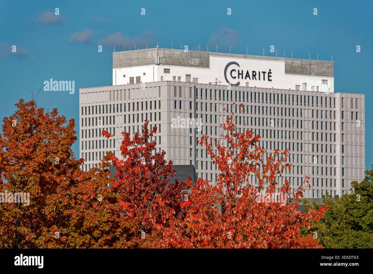 Charite, Bettenhochhaus, Herbst, Oktober, Berlin, Charite ...