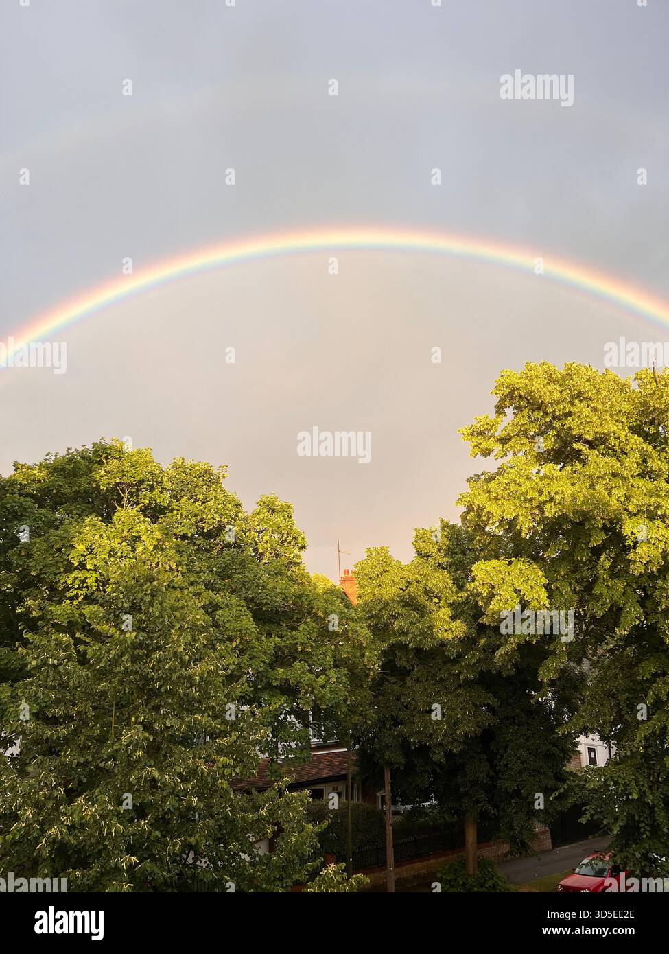 A soft and colorful rainbow arches over dense green trees during a warm golden hour in Hull, England. - Smartphone Captured Stock Image