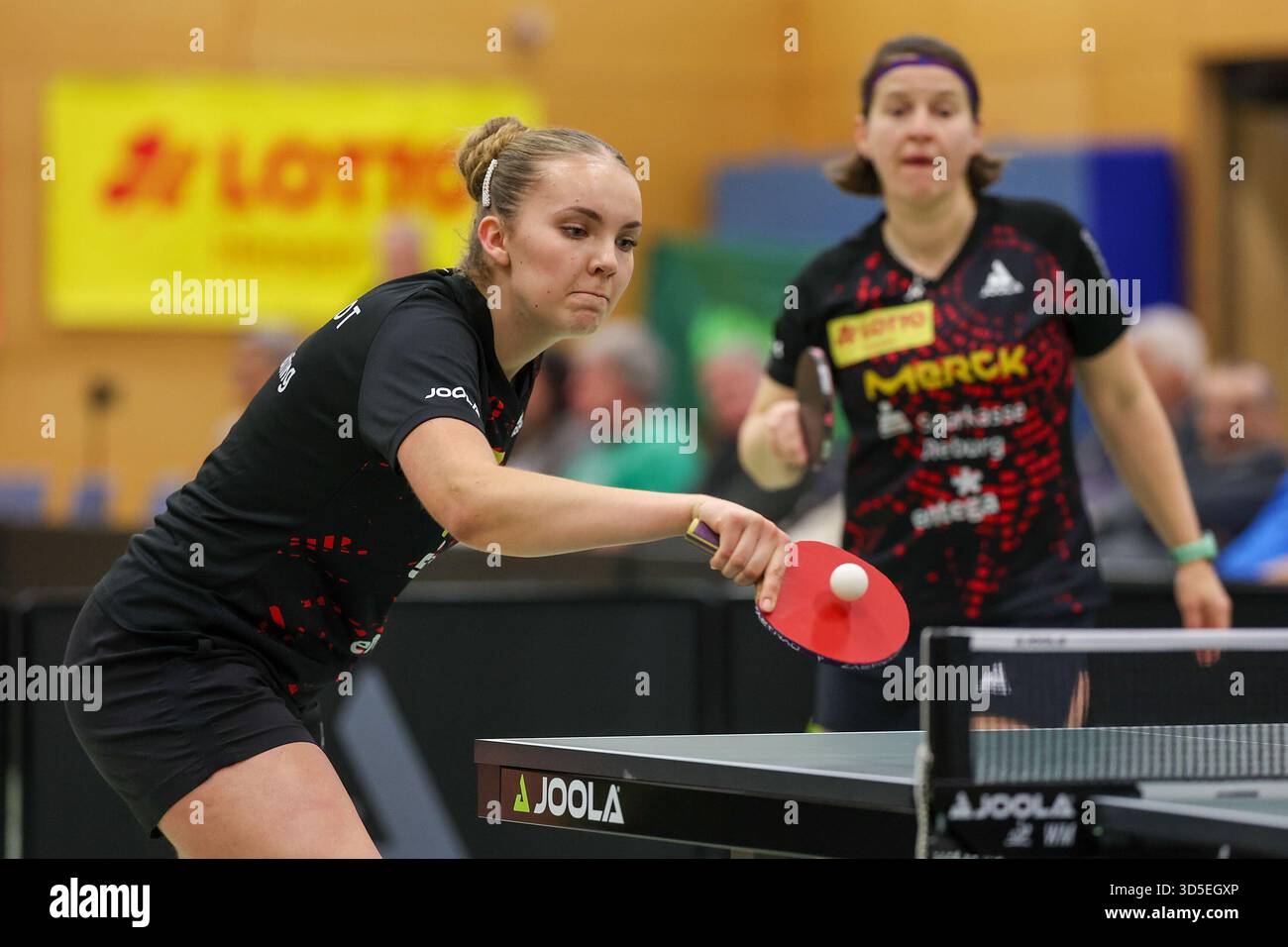 2025.11.15 Table tennis 2. Bundesliga [second division] [Bundesliga ...
