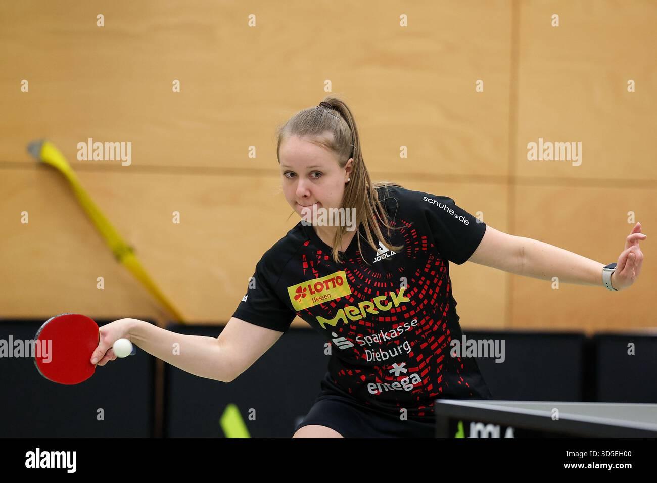 2025.11.15 Table tennis 2. Bundesliga [Bundesliga] [second division ...