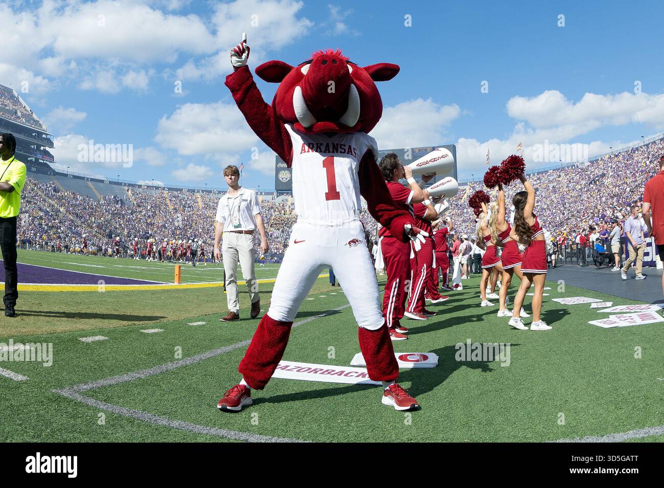 BATON ROUGE, LA - NOVEMBER 15: The Arkansas Razorbacks mascots ...