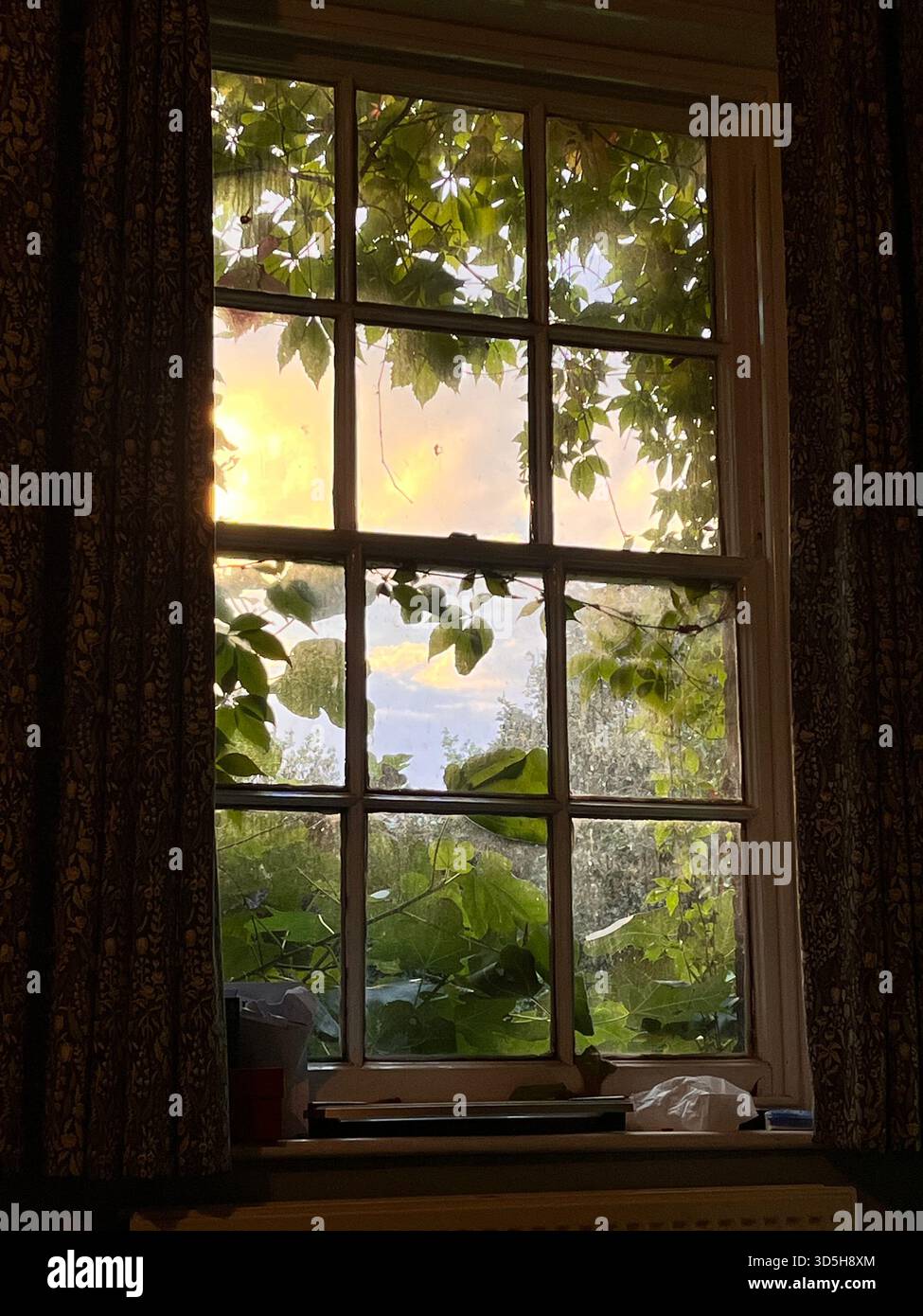Lush green garden seen through a wooden window frame. Natural light and leafy textures create a peaceful countryside atmosphere in Hull, England. - Smartphone Captured Stock Image
