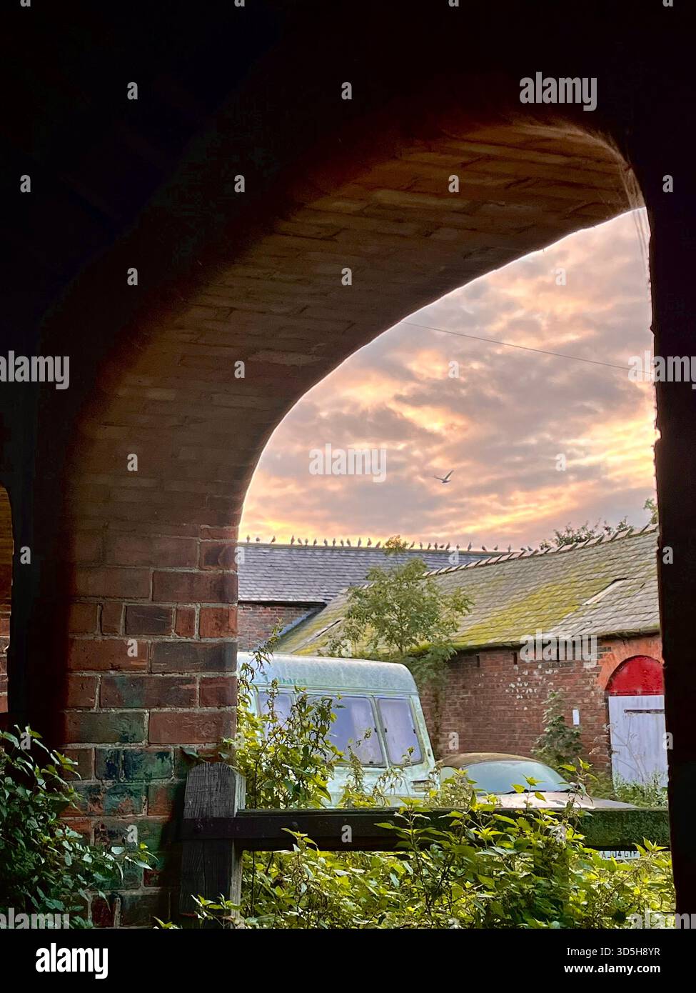 Warm sunset light passing through a brick archway, revealing a rural courtyard with greenery. Atmospheric countryside architecture near Hull, England. - Smartphone Captured Stock Image