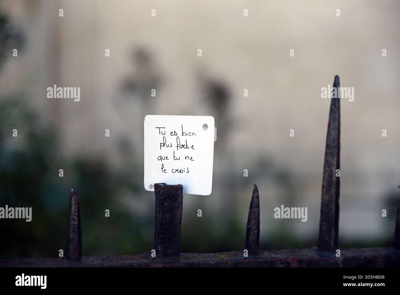 Bordeaux, France. 15th Nov, 2025. Demonstration against violence against children and teenagers in Bordeaux, France on November 15, 2025. To put an end violence against minors (mistreatment, sexual abuse, harassment,) Partisipants are calling on public authorities for an ambitious action plan to better protect children and adolescents and to reduce all form of volence against them. Photo by Patrice Pierrot/ABACAPRESS.COM Credit: Abaca Press/Alamy Live News Stock Photo