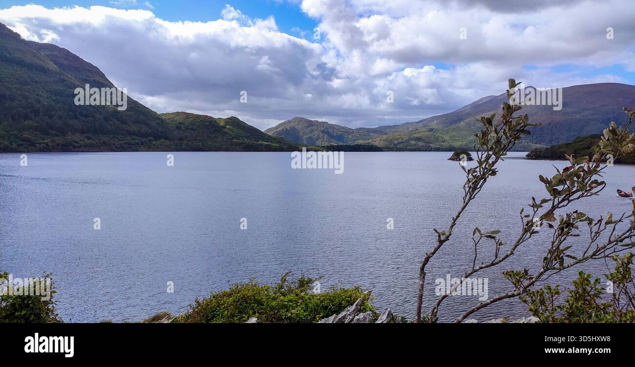 Killarney National Park,Ireland,2022 Stock Photo