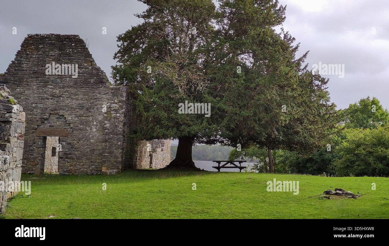 Killarney National Park,Ireland,2022 Stock Photo