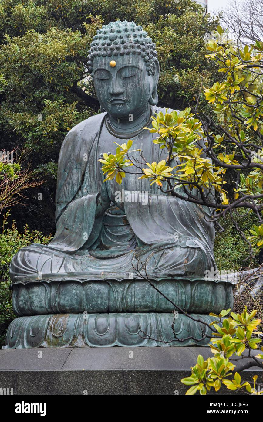 Beautiful large Buddha statue on lotus flower at Tennoji temple in