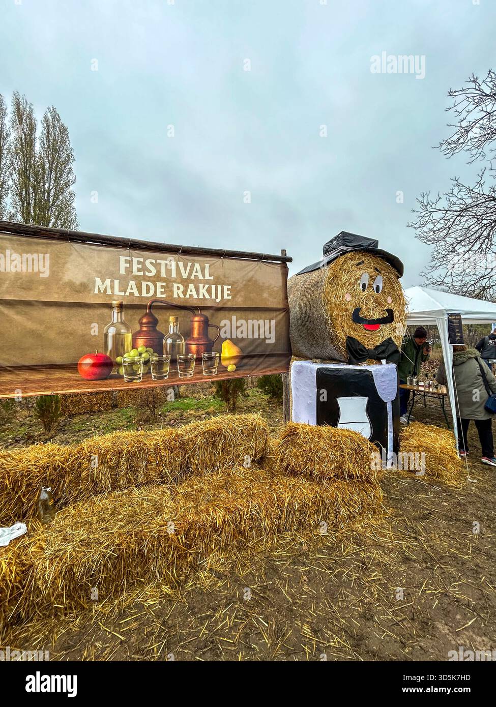 Editorial: Festive hay sculpture and banner at the Young Rakija Festival in Ljutóvo near Subotica, Serbia, captured on November 8, 2025. - Smartphone Captured Stock Image