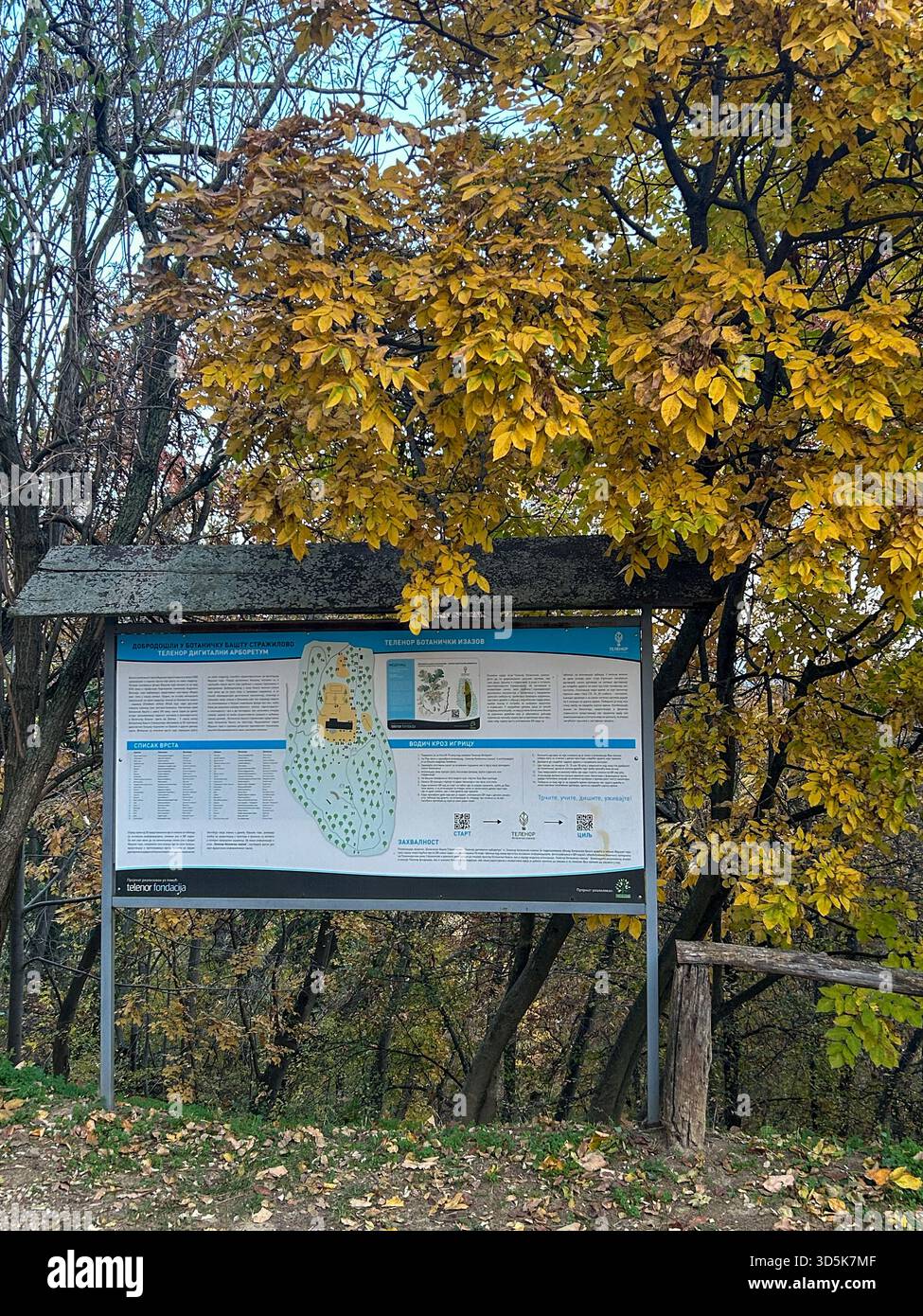 Autumn view of an informational signboard in Fruška Gora National Park, Serbia, photographed on November 2, 2025, surrounded by colorful fall foliage. - Smartphone Captured Stock Image