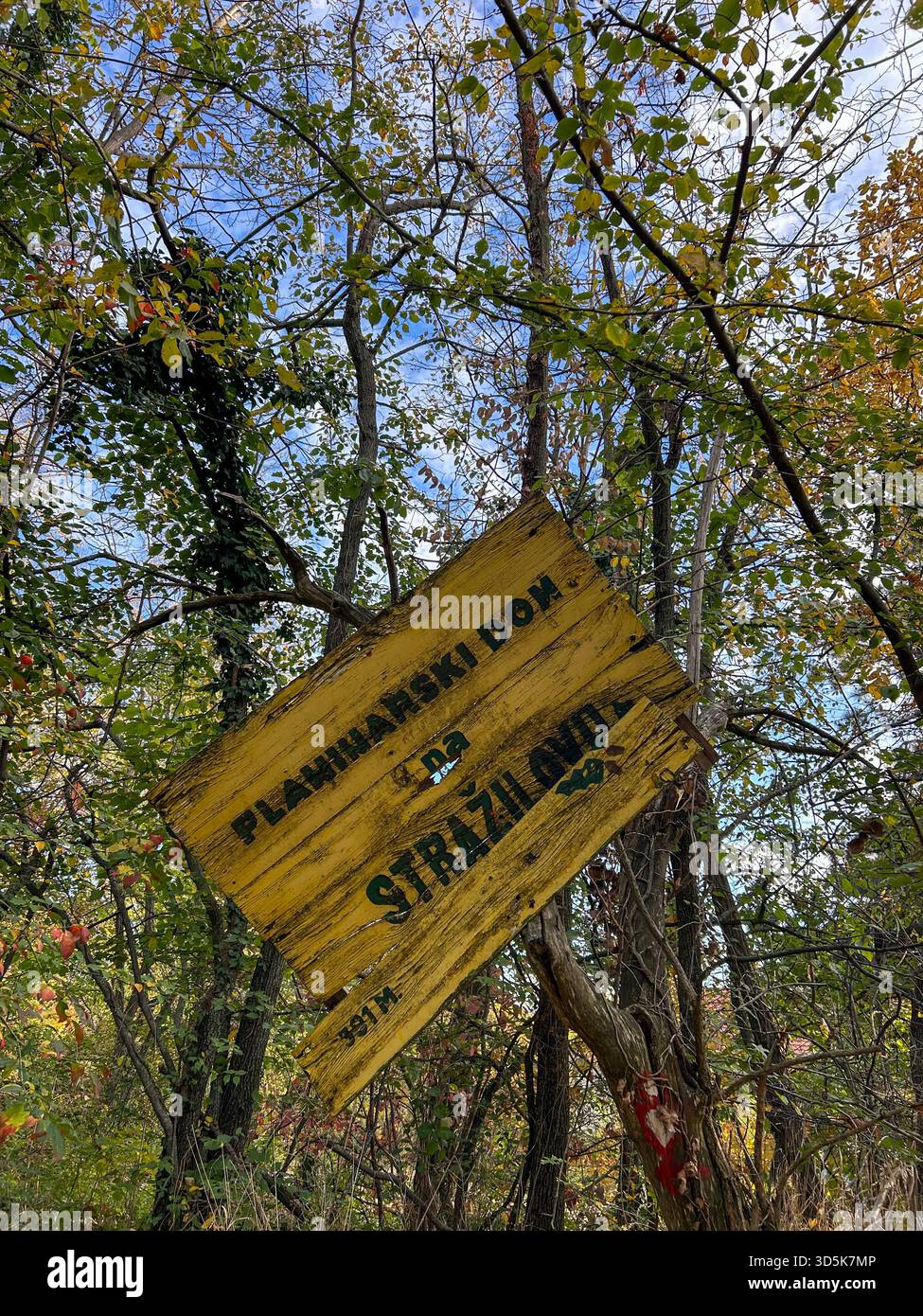 Wooden signpost pointing to the Stražilovo mountain lodge, photographed on Fruška Gora on November 2, 2025, surrounded by autumn branches and foliage. - Smartphone Captured Stock Image