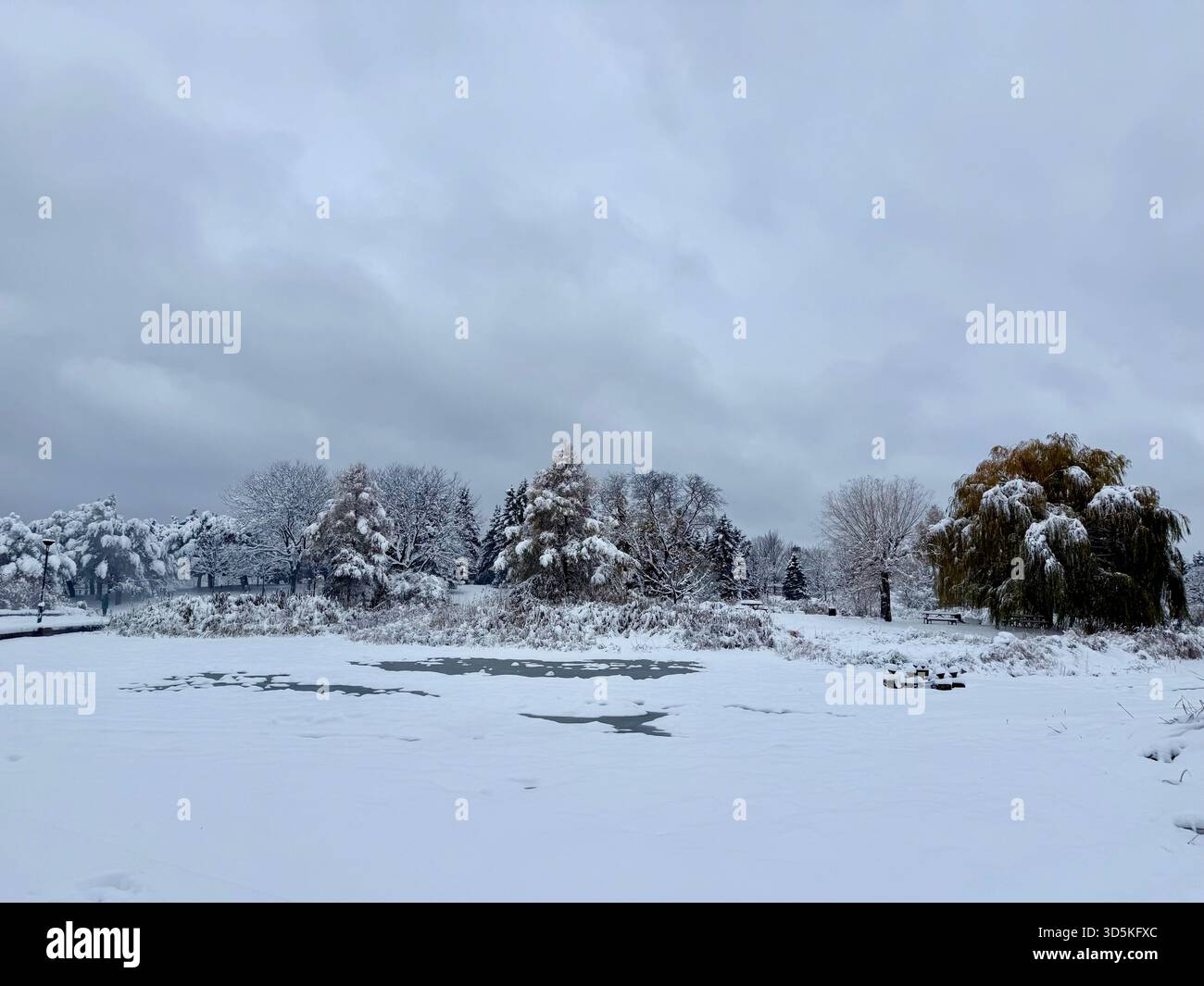 Jarry Park winter, Montreal, Canada - Smartphone Captured Stock Image