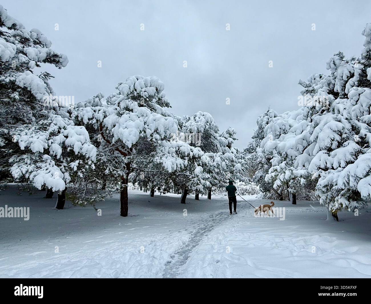Jarry Park winter, Montreal, Canada - Smartphone Captured Stock Image