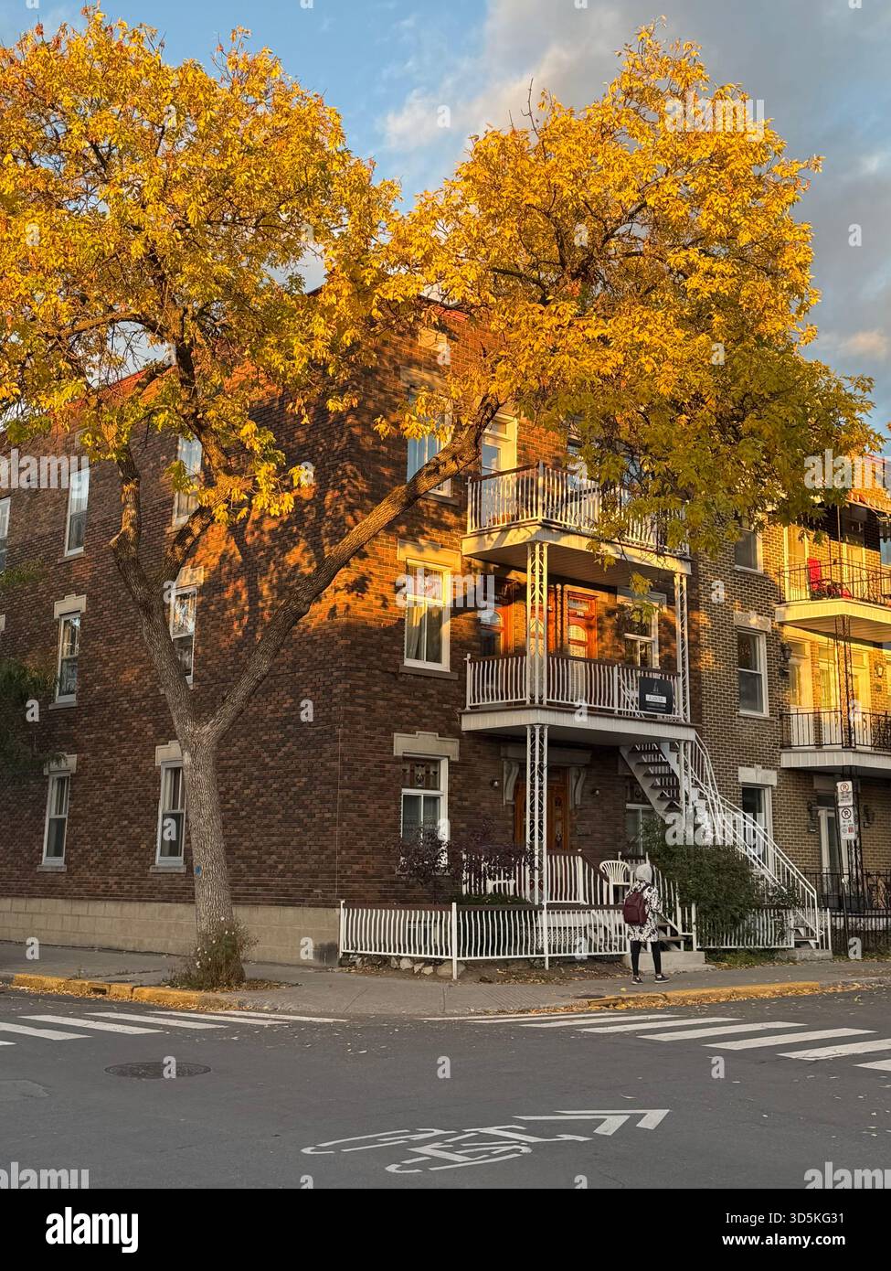 Autumn in Villeray, Montreal, Canada - Smartphone Captured Stock Image