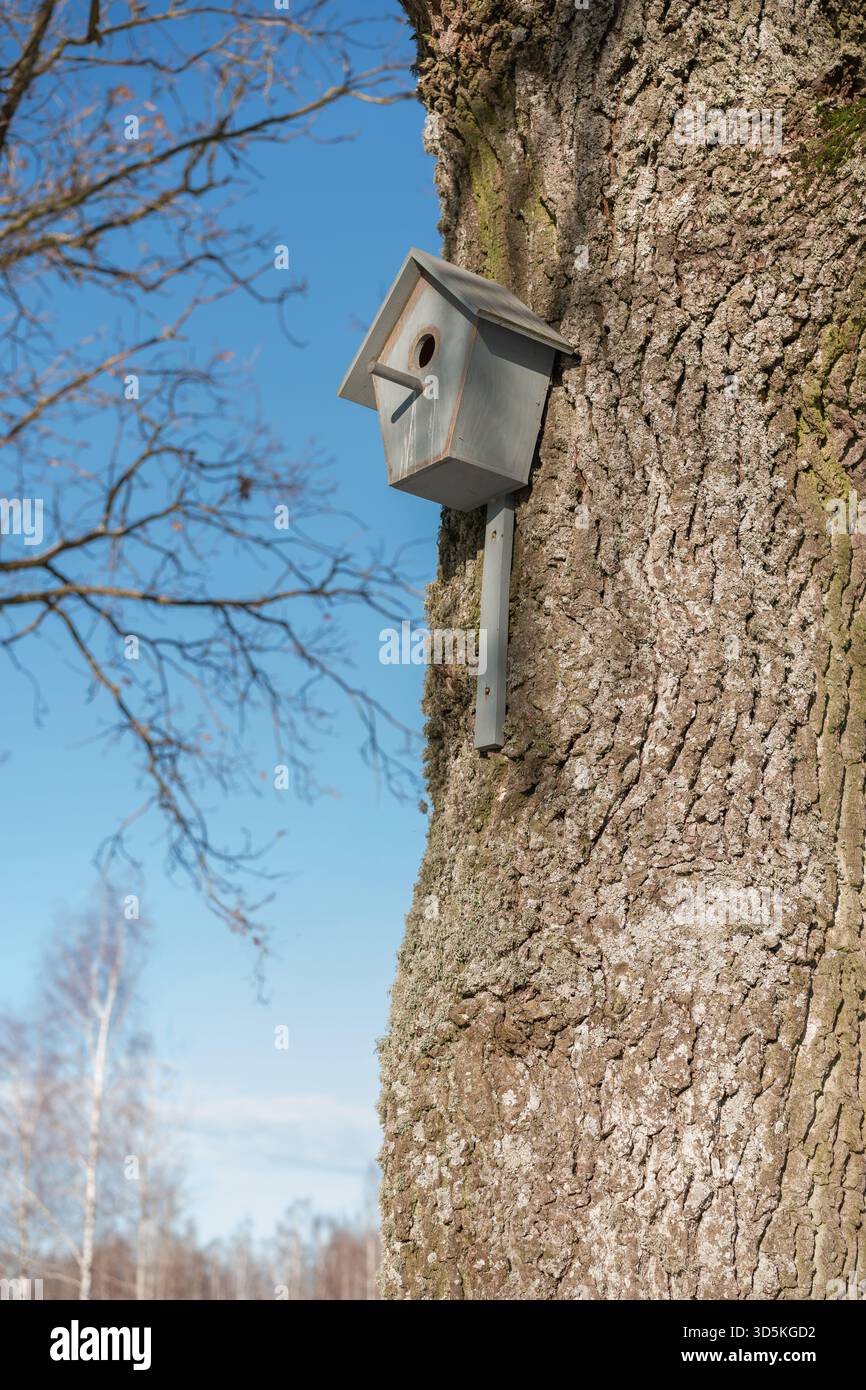 Early renewal hi-res stock photography and images - Alamy