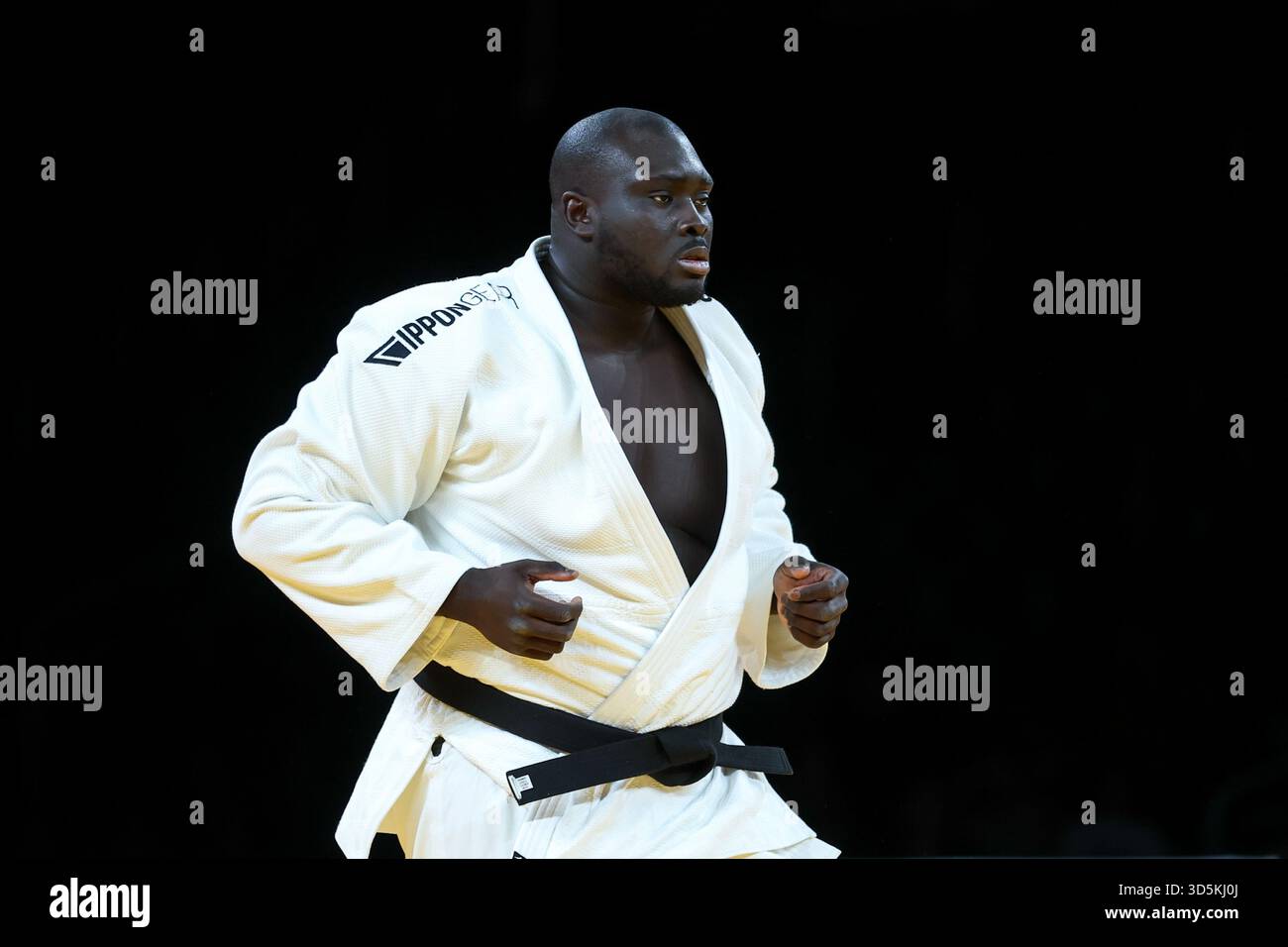 French judo team finishes far from podium at world Championships in Baku