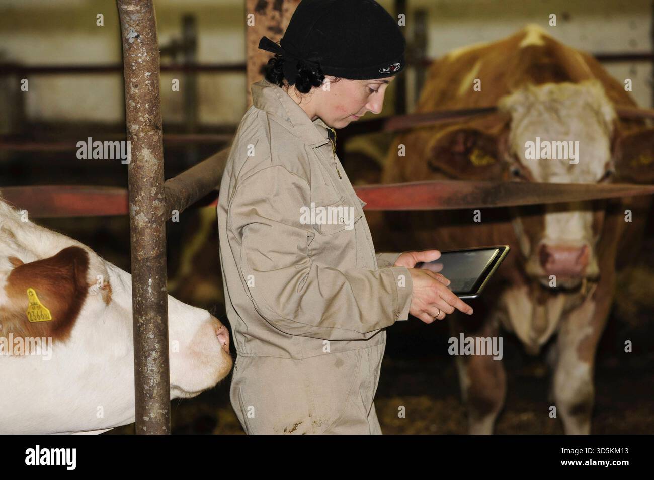 use of computers and digitalization in dairy farming and agriculture ...