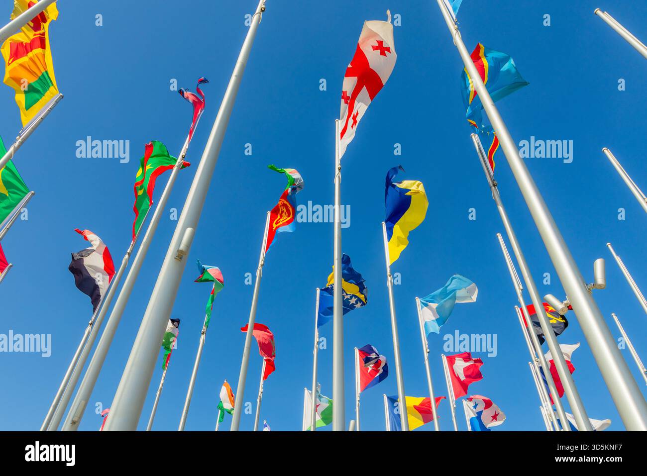 Georgian and Ukrainian flags waving together with the many ...