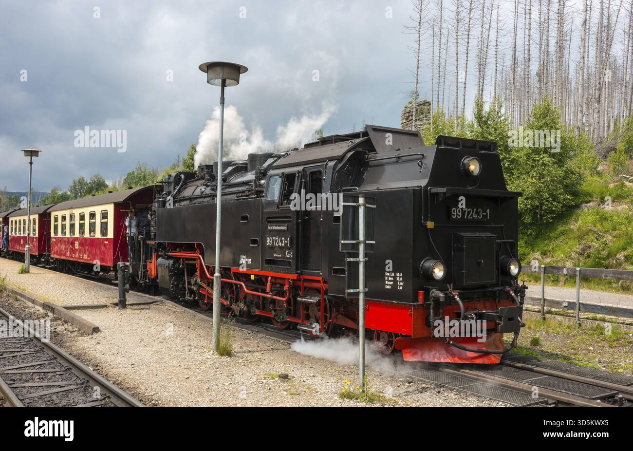 Steaming Rails Close-up of a steam locomotive, rails, front of a steaming railway ...