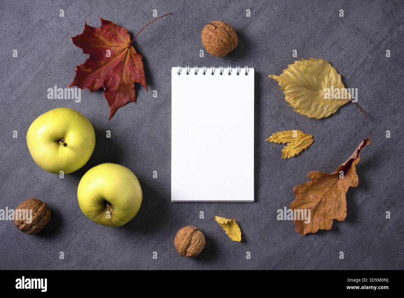 Top view mockup autumn composition of dry leaves, apples and walnuts. White notepad with blank sheets for text. Selective focus Stock Photo