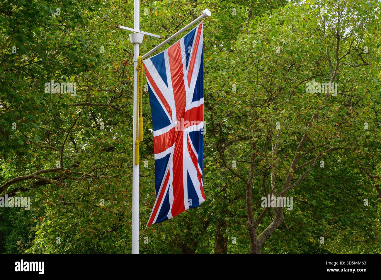 British Union Flag hanging from post in vertical shape against green tree foliage Stock Photo