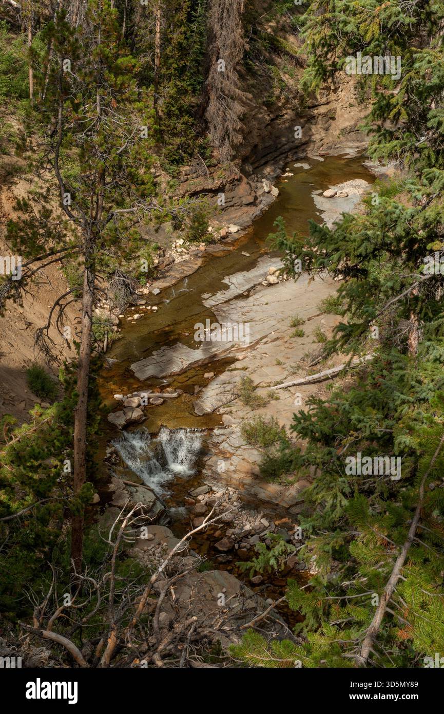 Utah's Provo River near its source in the Uinta mountains Stock Photo