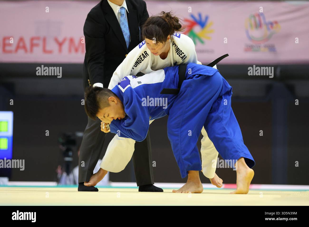Rules and Tactical Adjustments in Paralympic Judo