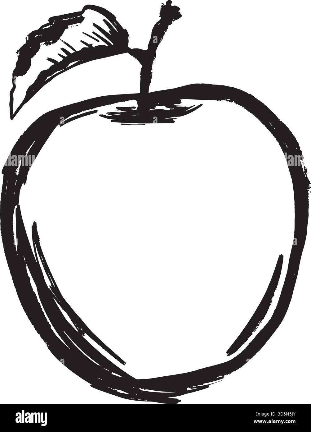 Apple fruit leaf Black and White Stock Photos & Images - Alamy