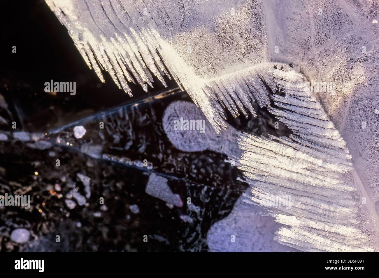 Ice crystals patterns on a cold winter day Stock Photo