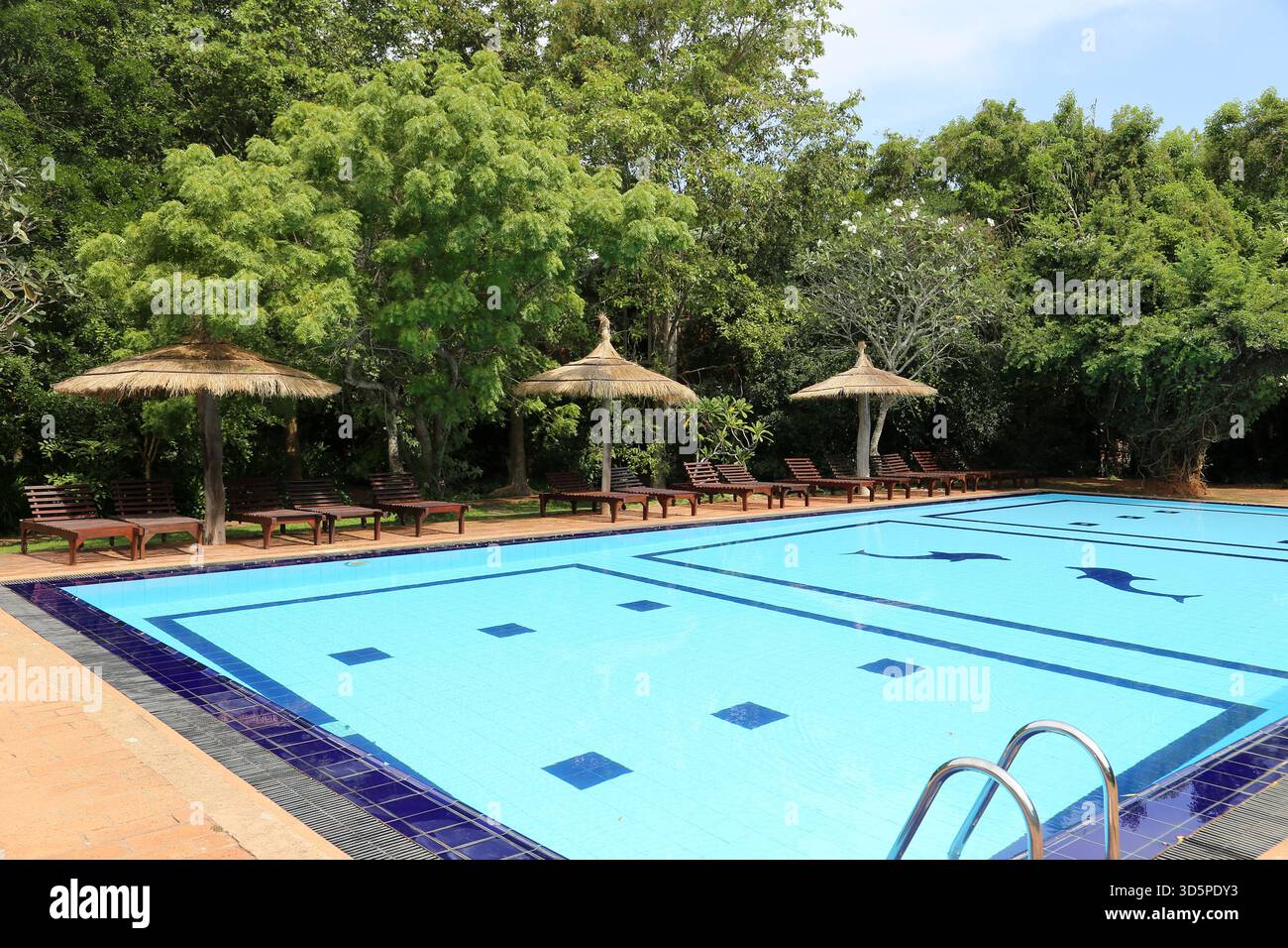 Pool, Camellia Resort and Spa, Avudangawa, Sigiriya, Matale District ...