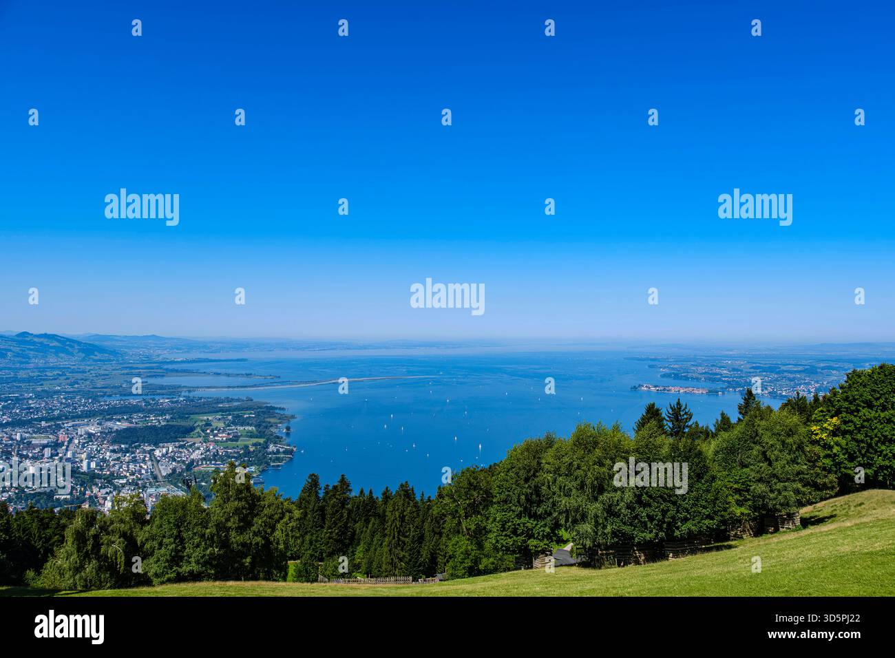 Wunderbar Pfnder Bei Bregenz Bildernull