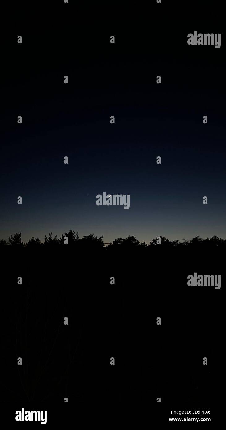 A serene twilight sky featuring a delicate crescent moon and a bright celestial companion Venus hovering above the dark silhouette of a for forest - Smartphone Captured Stock Image