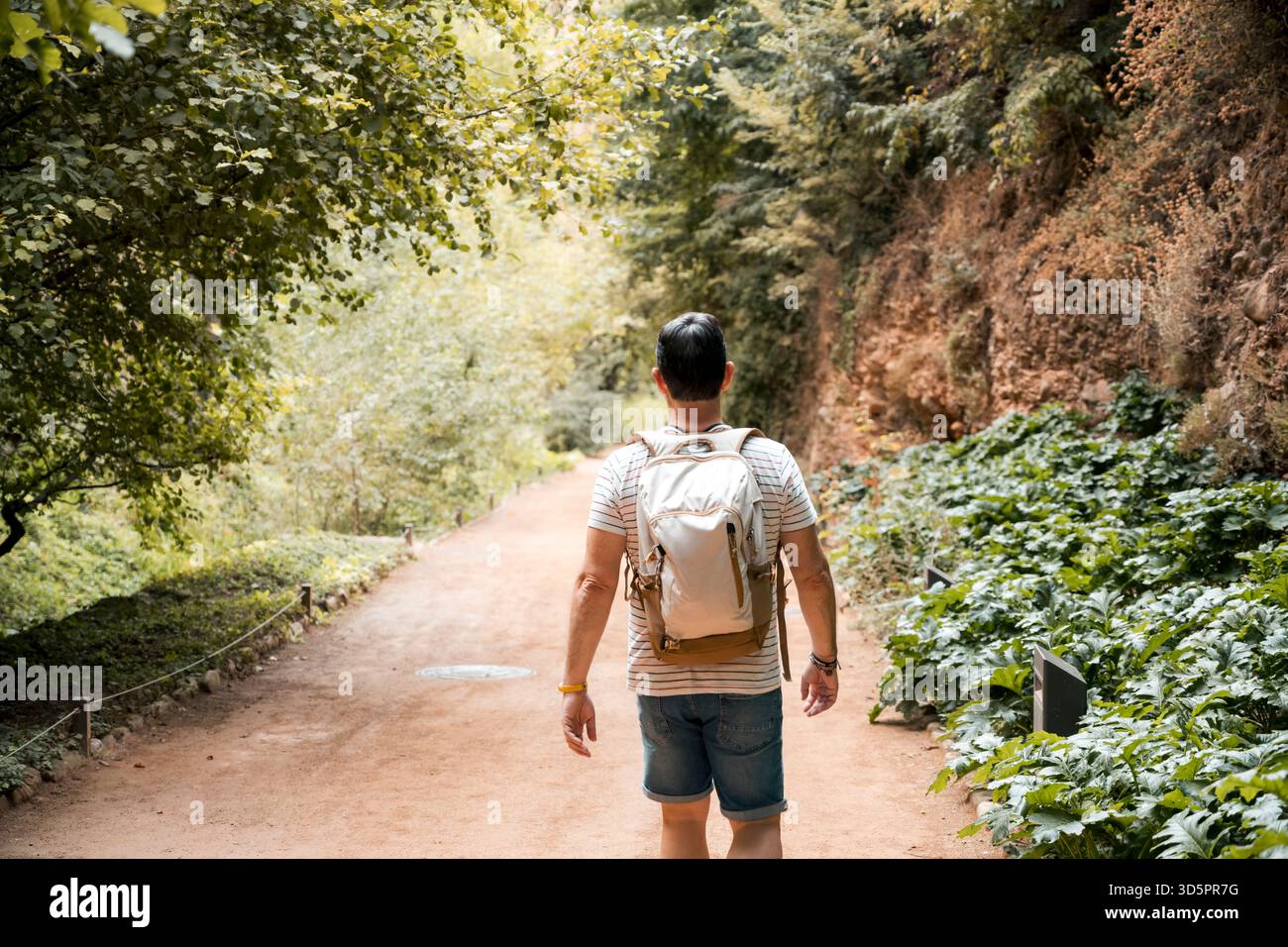 Man walking alone on forest trail with backpack and shorts Stock Photo