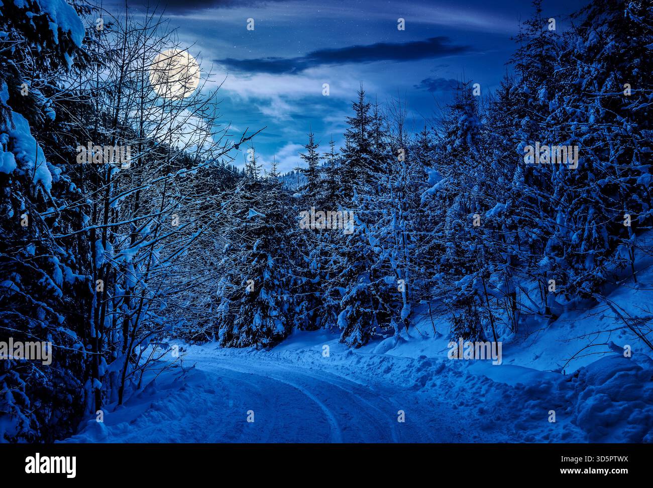 winter mountain landscape at night. curve of country road that leads into the coniferous forest covered with snow in full moon light. backdrop for fic Stock Photo